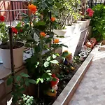 Yanina